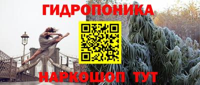 spice Балашиха