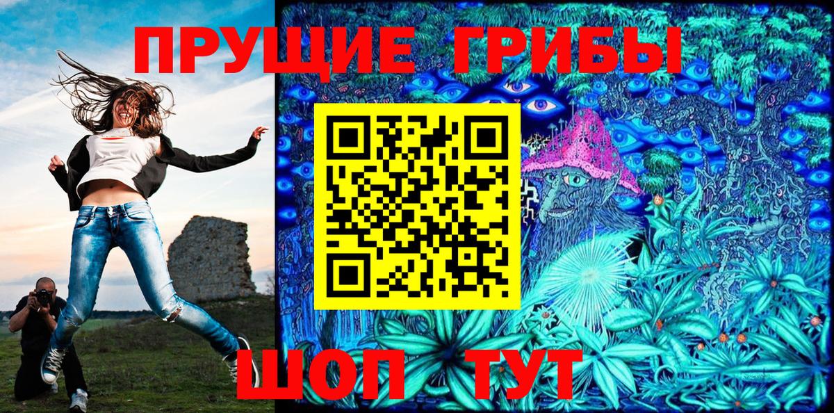 Галлюциногенные грибы Psilocybine cubensis Дзержинск